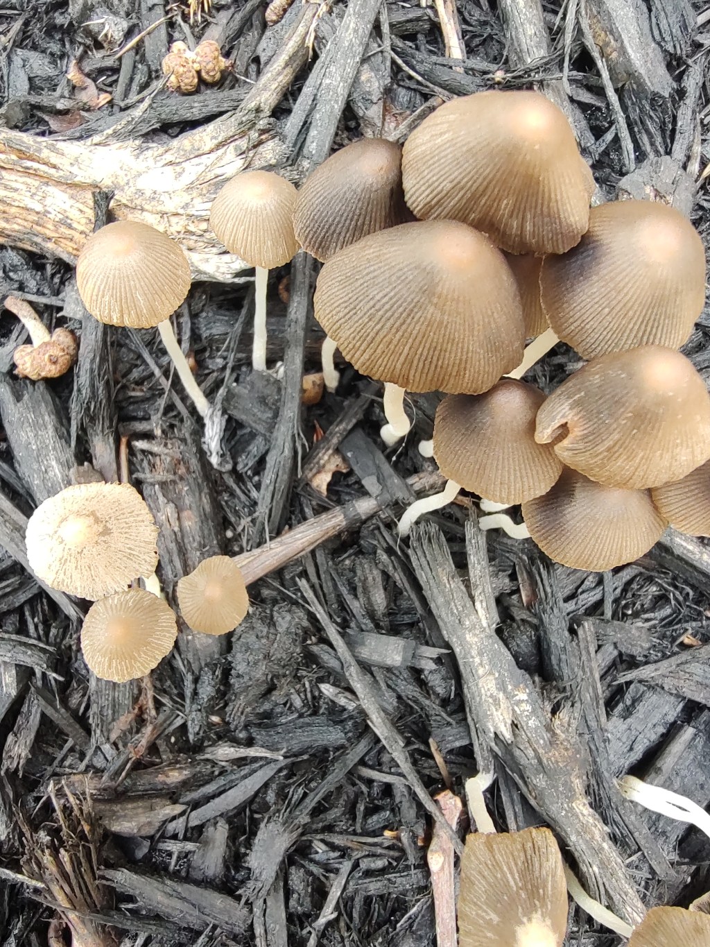 Musings on energy recovery